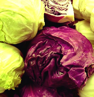 Red and Green Cabbages